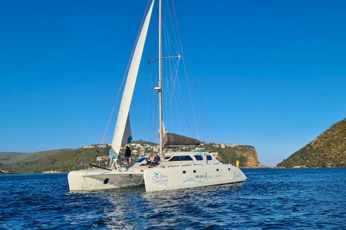 knysna_sailing_Charters